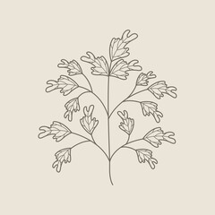 Hand Draw Floral Decoration Element