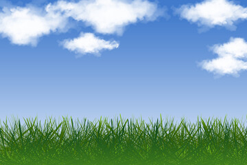 Fototapeta na wymiar vector green grass and blue sky clouds