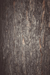 Seamless tree bark texture. Endless wooden background for web page fill or graphic design. Oak or...