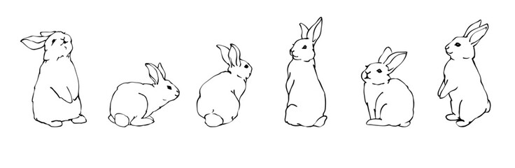Set of linear sketches of cute rabbits.Vector graphics.