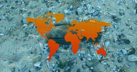 Animation of data processing and world map over waste and bird on beach - Powered by Adobe