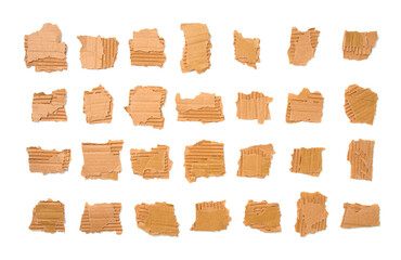 Set of cardboard corrugated pieces  on white background