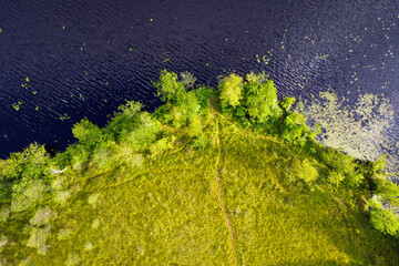 Lake water and green forest trees, aerial view. Summer landscape, beautiful nature, sunny day