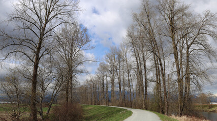Autumn scenery on the secluded dykes