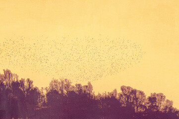 Ilustracja grafika jasne niebo z drzewami i stadem ptaków na horyzoncie. - obrazy, fototapety, plakaty