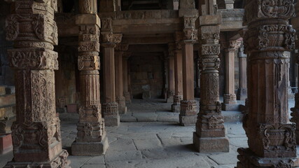 fruits of full with tree mango A garden morning early in Barracuda young green bunch Young background leaf blur 