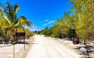 Sandy muddy road walking path and nature landscape Holbox Mexico.