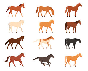 Domesticated horses. Animals for work, walks, competitions. Horse racing. Vector illustration
