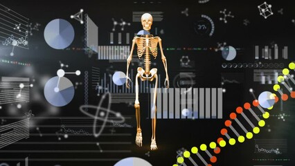Animation of molecules with human skeleton and dna strand over data processing on black background - Powered by Adobe