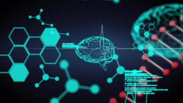 Animation of human brain, scientific data processing with dna strand spinning