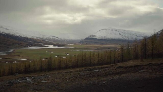 scenic icelandic landscap with spurces, green balley and mountains with snow