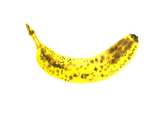 Watercolor hand drawn yellow ripe banana. Illustration isolated on background.