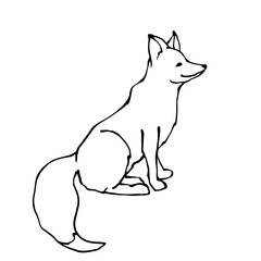 Linear sketch of a wild forest animal fox.Vector graphics.