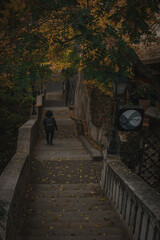 walking in the park