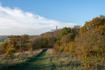 Landscape photo of the autumn colours around the 
 Admiral Hood Monument in Somerset