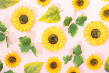 Arrange sunflowers with leaves on light pink background. Minimal design.