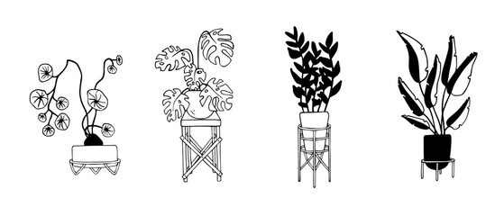 Doodle sket of houseplants.Vector graphics.