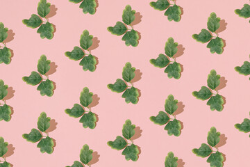 Arranged leaves on light pink background. Pattern.