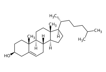 Cholesterol molecular structure. Cholesterol is a lipid and essential structural component of animal cell membranes. Vector structural formula of chemical compound with red bonds and black atom labels