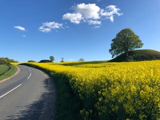 Danish countryside near Stenløse