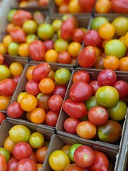 red and yellow tomatoes