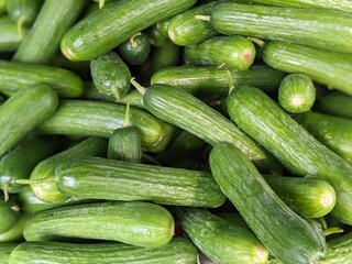 cucumbers on the market