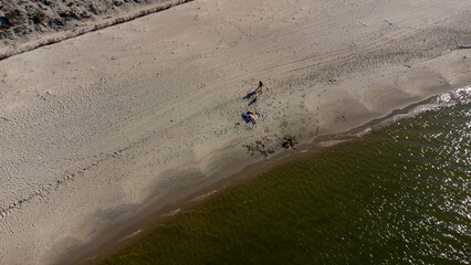 people on the beach