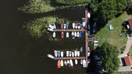 people walking in the park