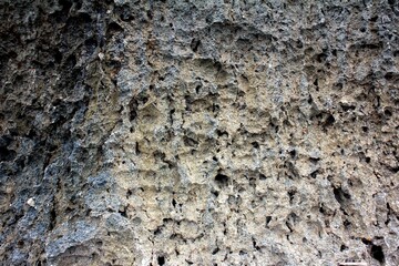 Unique Rock Texture in The Beach