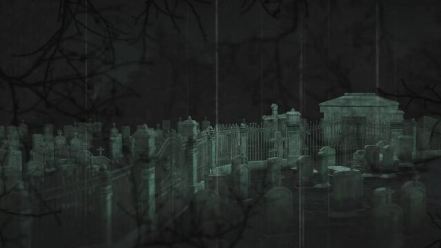 Animation of branch shadows over cemetery at night