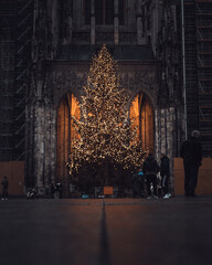 Christmas tree infront of a church