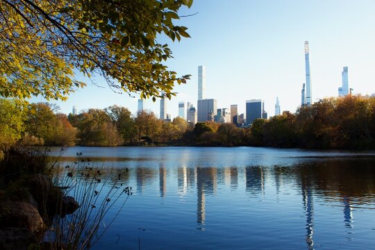 Central Park,  New York City scenic photographs taken November 2022