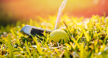 Banner Sport golf, yellow ball with stick on green grass background with sunlight
