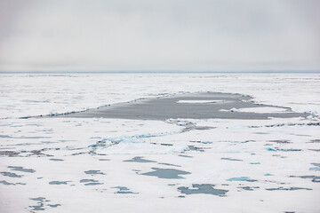 north pole ice