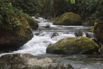 a waterfall surrounded by tropical forest