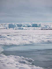 ice desert 