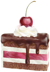 Watercolor chocolate black forest cake isolated on transparency background. Hand drawn watercolor object illustration