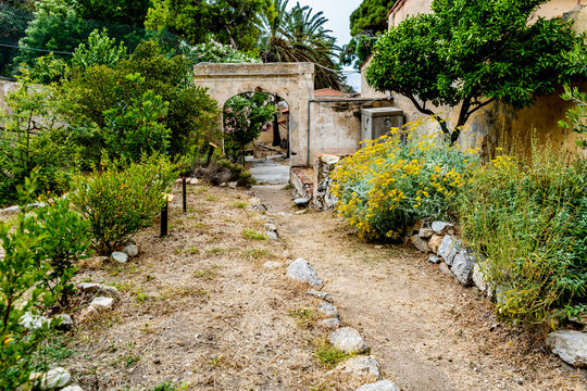 The garden in the visitor center, in the isle of Montecristo, part of the Tuscan Archipelago. It's a state nature reserve and inspired Alexandre Dumas' novel l The Count of Monte Cristo.