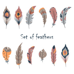 Set of detailed colorful birds feathers. Vector bohemian decorative elements. Hand drawn illustrations.