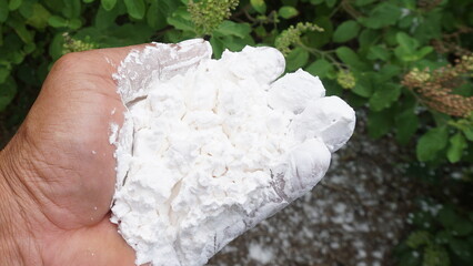 Hand holding white flour for cooking