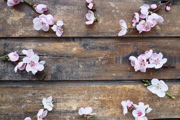 Obraz na płótnie Canvas Pink flowers of apple tree or peach tree on wooden boards. Delicate inflorescences arranged in circle. Soft focus. Spring theme, holidays, spa, beauty, home interior. Copy space flat lay. Still life