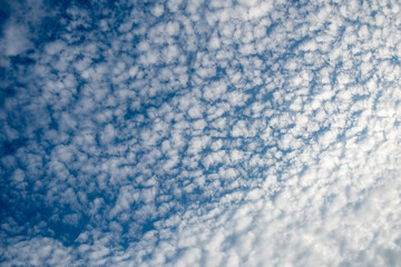 Fototapeta na wymiar Peaceful blue sky overhead, texture with white cirrus clouds, natural background