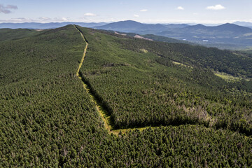 International border follows forest ridgeline between USA and Canada