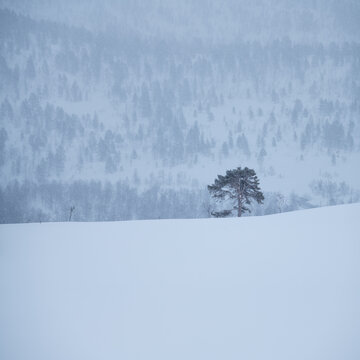 Winter mountain landscape, Senja, Norway