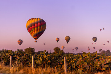 Globos aerostáticos volando sobre zona arqueológica de México al amanecer en Teotihuacán