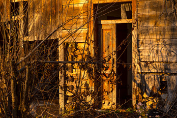 Drzwi do drewnianego domu połączonego z budynkiem gospodarczym . Zniszczony , opuszczony , wiejski , dom , jesienią podczas zachodu słońca .  © Grzegorz