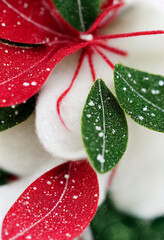 Christmas Decoration