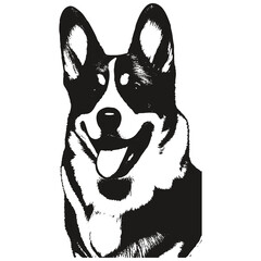 Corgi hand drawn image ,black and white drawing of dog