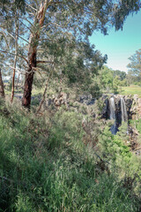 waterfall in australian bushland near Daylesford at Sailors Falls