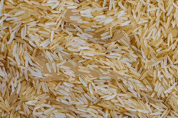 Realistic vector illustration of long grain parboiled uncooked rice background. Rice groats as background and texture.

